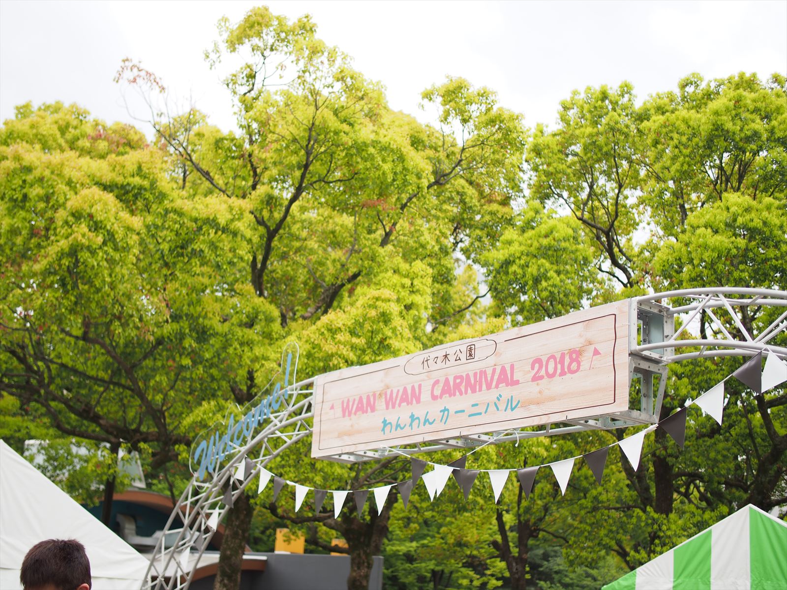 お友達にも会えたよ 代々木公園わんわんカーニバル18に行ってきた 中野区在住のミニシュナのブログ